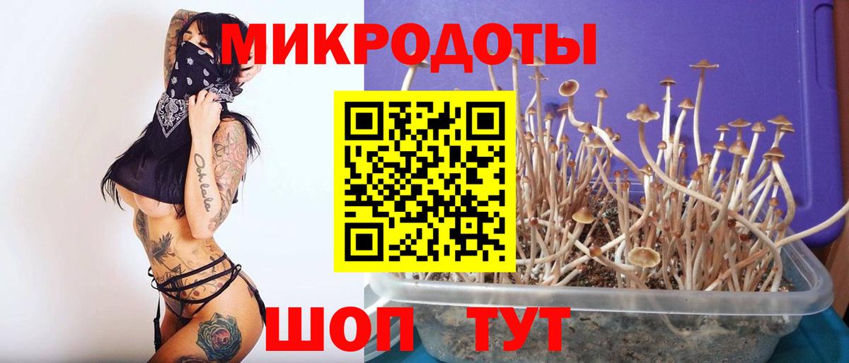 Псилоцибиновые грибы прущие грибы Сосновоборск
